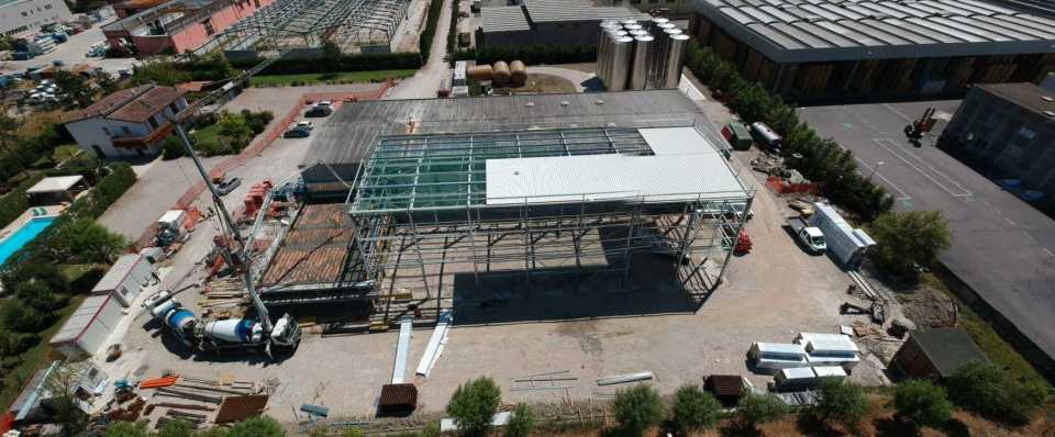 ACETUM PONT 1
